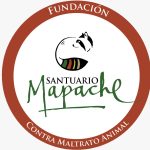 FUNDACIÓN CONTRA MALTRATO ANIMAL